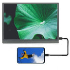RoboGem 15.6 Inch Portable Monitor - Open Box