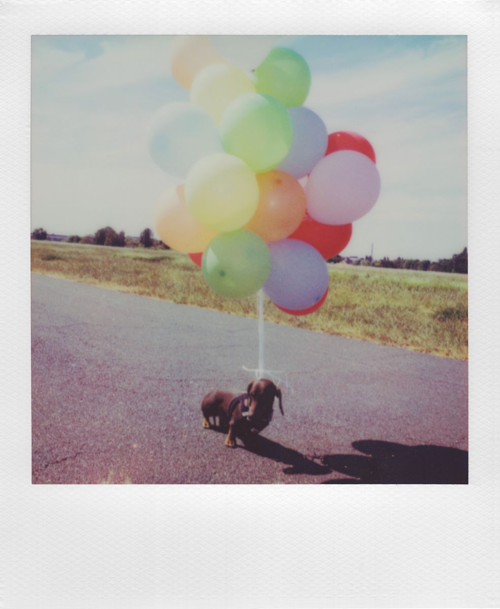 Polaroid I-2 Instant Camera - Parallel Import